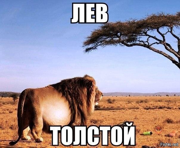 Из солянки