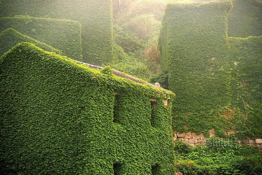 Зеленая деревушка в Китае