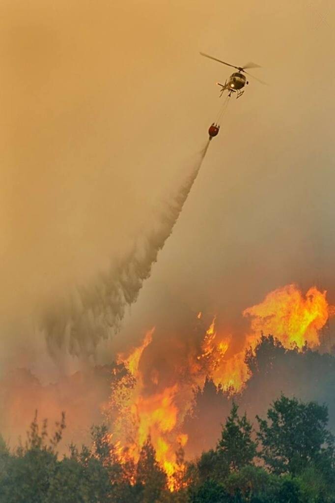 Тушение лесного пожара