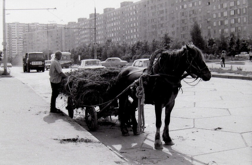 А на Юго-Западе столицы ещё кто-то ездит на лошадях.