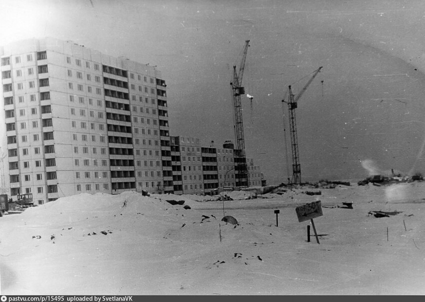 В 1979 году в Москве везде что-то строят. В Строгино возводят микрорайон. Осенью в дома заселяются первые жильцы.