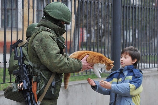 10 самых влиятельных котов России