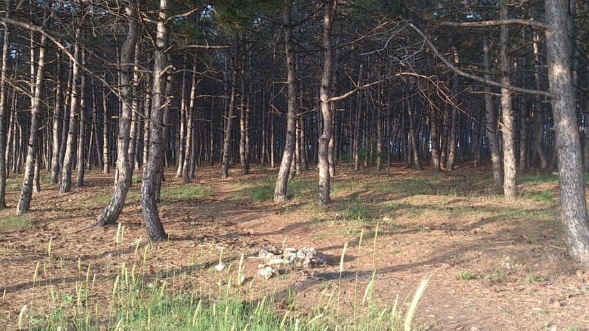Автостопом в Крым 