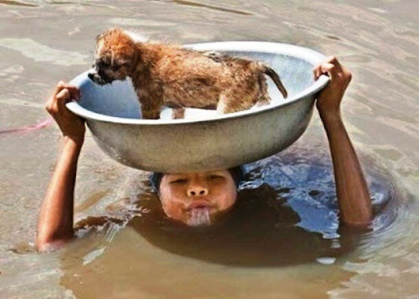  4. Женщина переносит щенка через затопленную улицу.