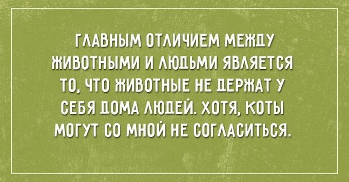 26 саркастичных открыток о жизни