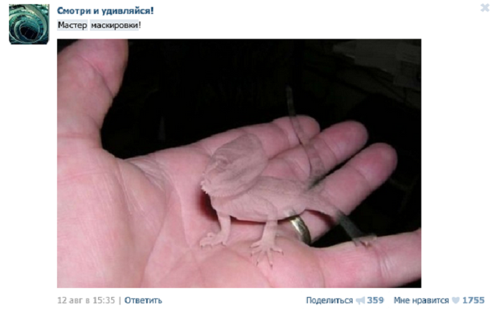 Пример лже-поста Скриншот из сообщества «ВКонтакте»