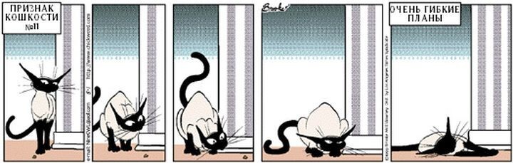  20 лет самому крутому комиксу о котиках