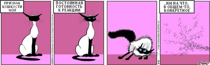  20 лет самому крутому комиксу о котиках