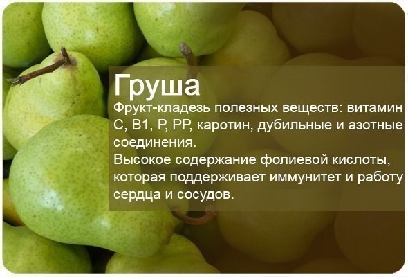 Энциклопедия фруктов