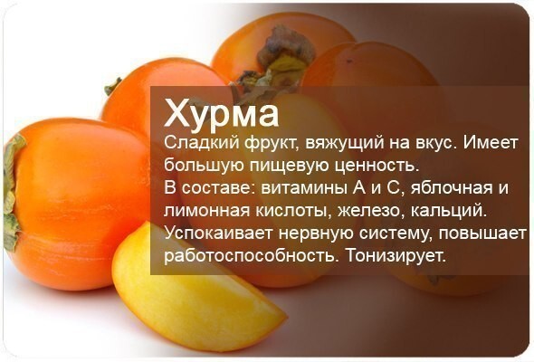 Энциклопедия фруктов