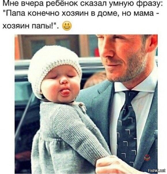 Из солянки