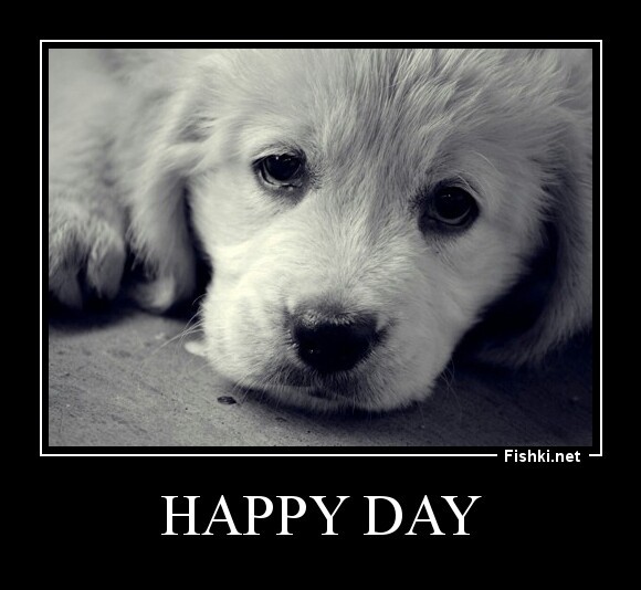 Happy Day