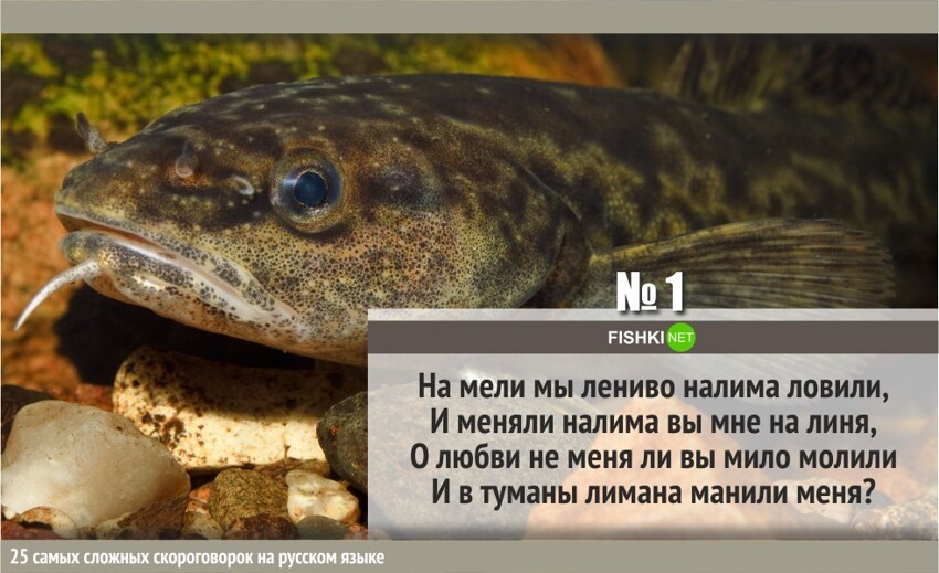 25 самых сложных скороговорок на русском языке
