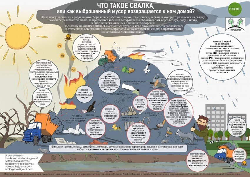Инфографика "Что такое свалка, или как выброшенный мусор возвращается к нам домой?"