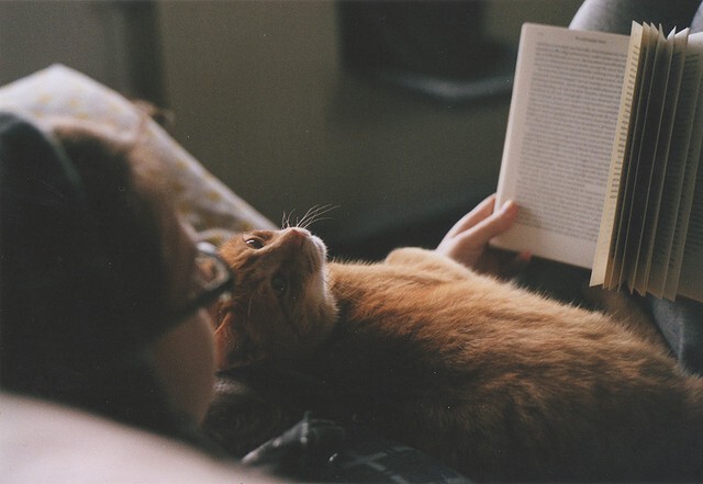 Чтение перед сном