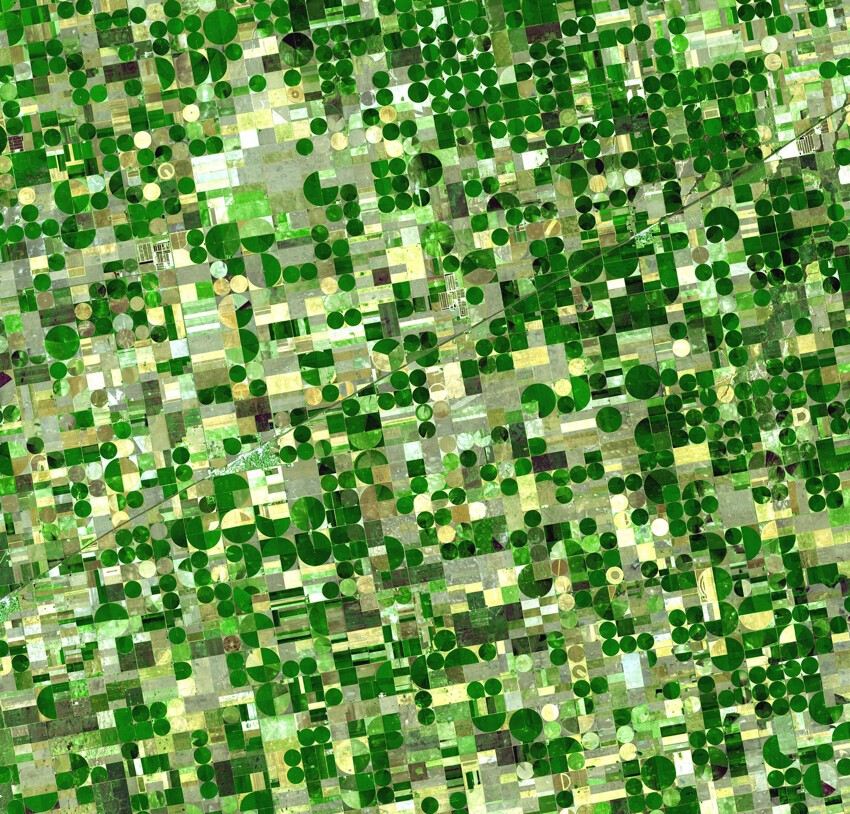 Похожие на произведения современного искусства, эти зеленые круги на самом деле представляют собой поля пшеницы, ржи и сорго на юго-западе штата Канзас, США.