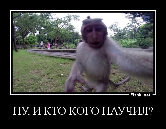 Ну, и кто кого научил?