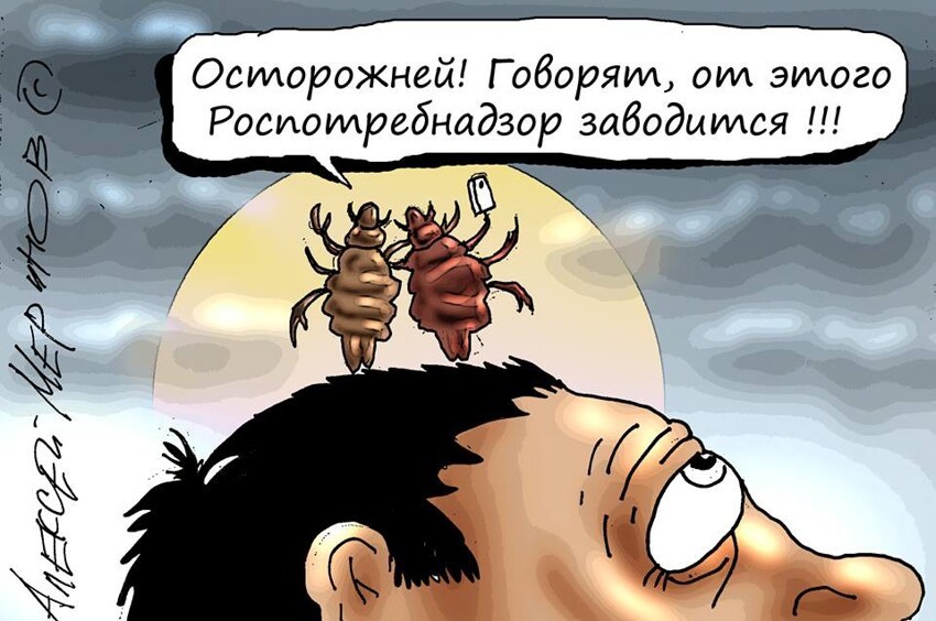 6. Помните новость про то, что Роспотребнадзор советовал не делать селфи, дабы не плодить вшей?