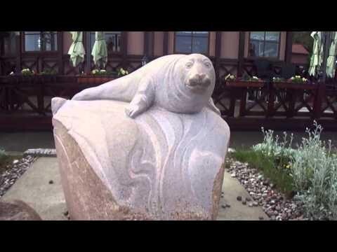 Памятник балтийскому тюленю в г Зеленоградске  