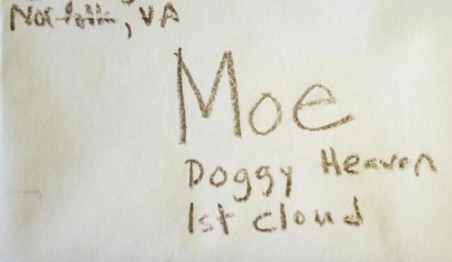 3-летний мальчик написал письмо своей умершей собаке и...получил ответ