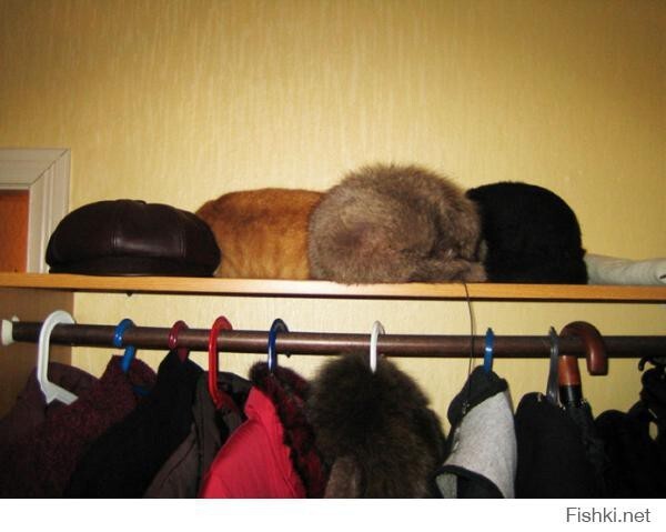 тренируемся