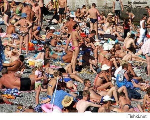 сиськи найдёте... а котика? тут максимальная сложность!