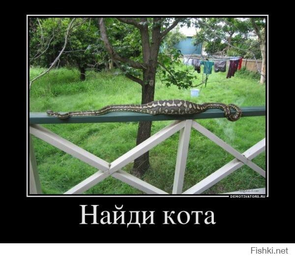 ...здесь я и сам не нашел... где же ты котик?