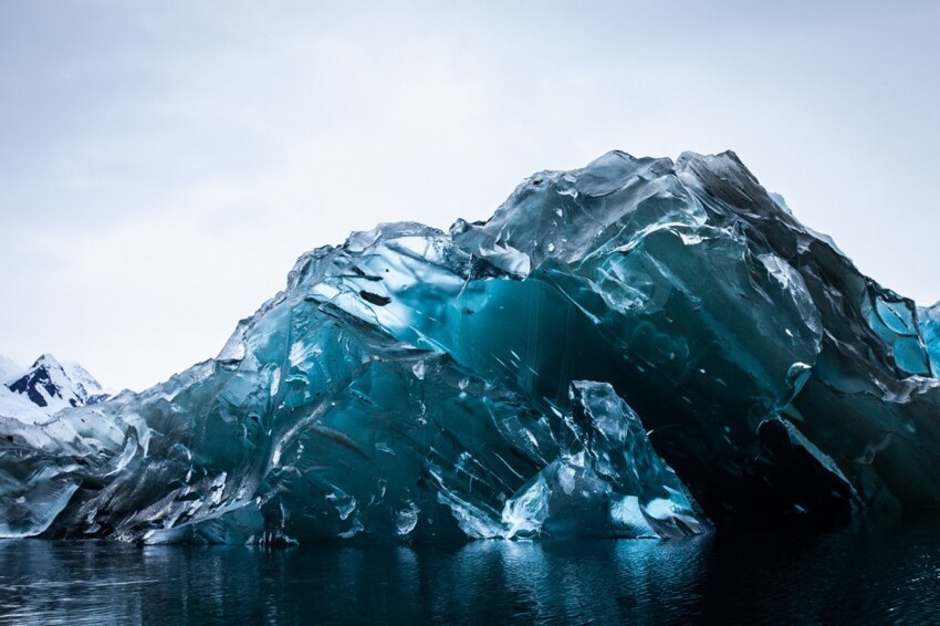 14. 99% площади Антарктиды находится подо льдом. 