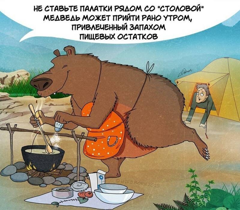 Комикс о правилах поведения с медведями 