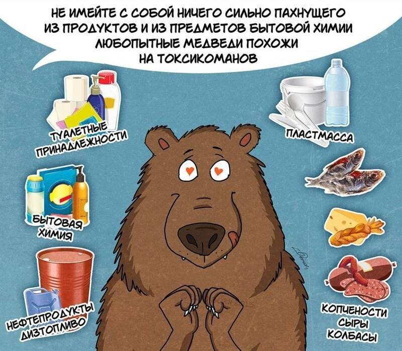 Комикс о правилах поведения с медведями 