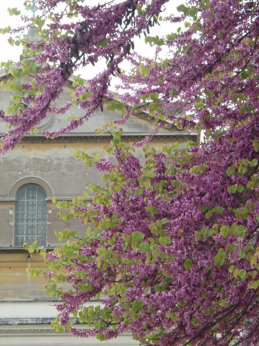 Италия и Россиия