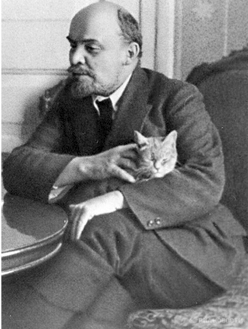 Ленин тоже любил котов
