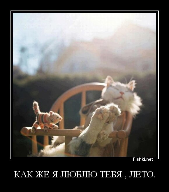 Как же я люблю тебя , лето.