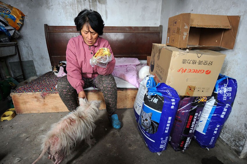 Она преодолела 2400 км и потратила 1100 $, чтобы спасти 100 собак от съедения