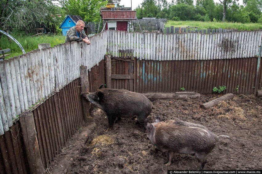 Загадка русского мужика