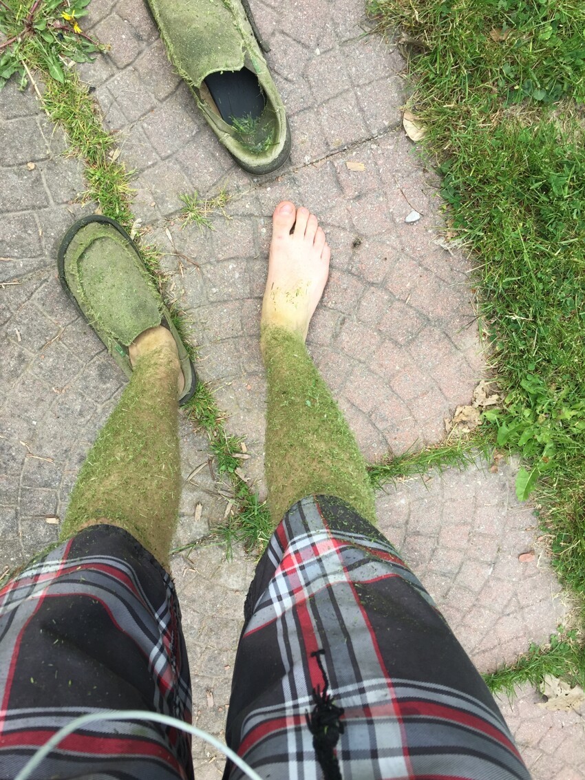 Покосил траву