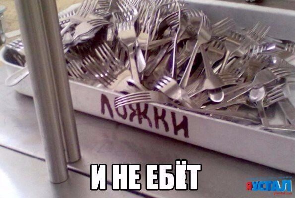 Смешные картинки с надписями