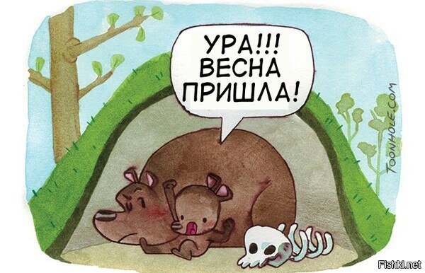 Из солянки