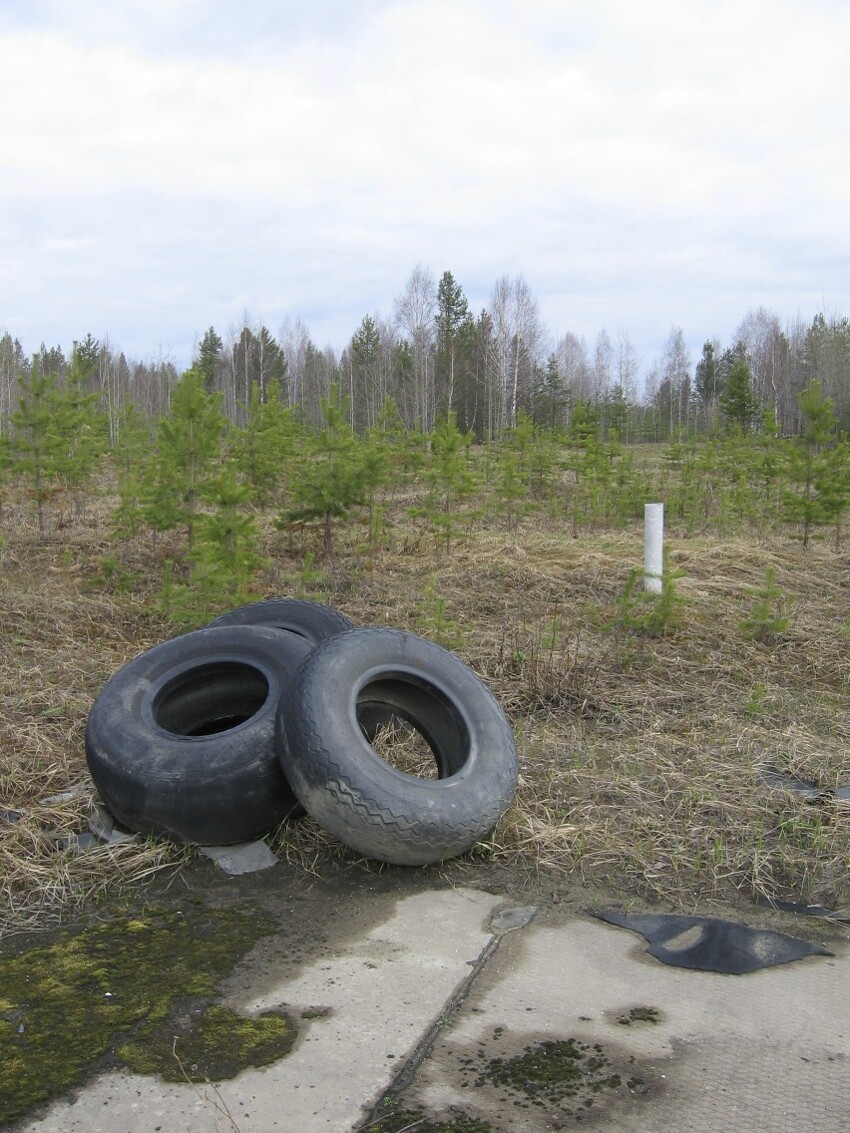 Покрышки