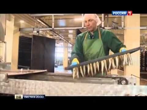 Репрессивные методы Киева 