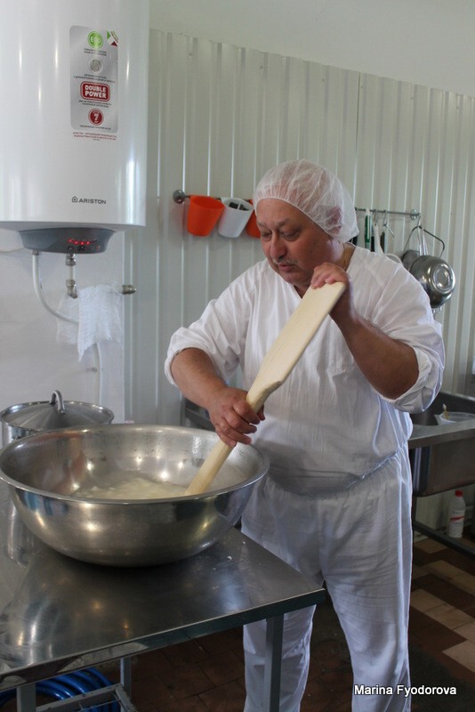 В Карелии появилась своя сыроварня, выпускающая итальянские сыры
