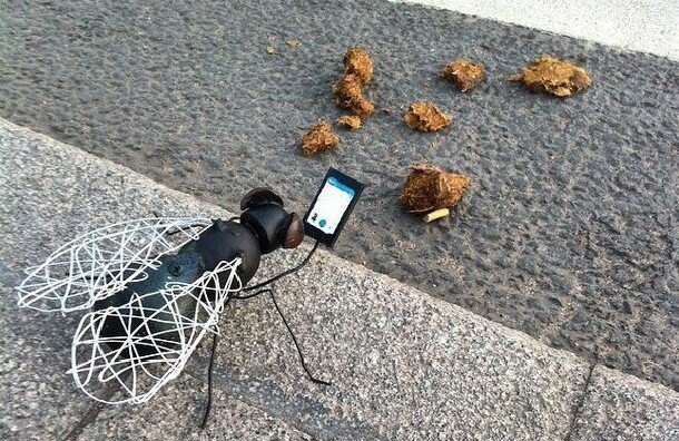 В Петербурге возник «памятник» мухе, которая фотографирует свой обед