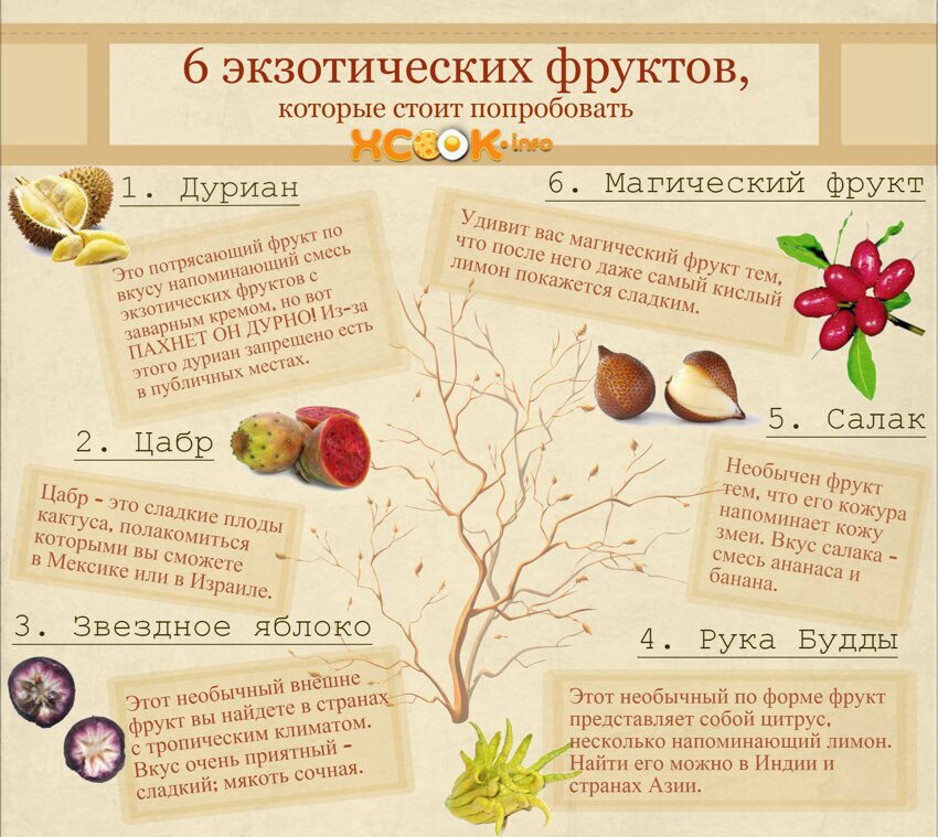 6 экзотических фруктов, которые стоит обязательно попробовать!