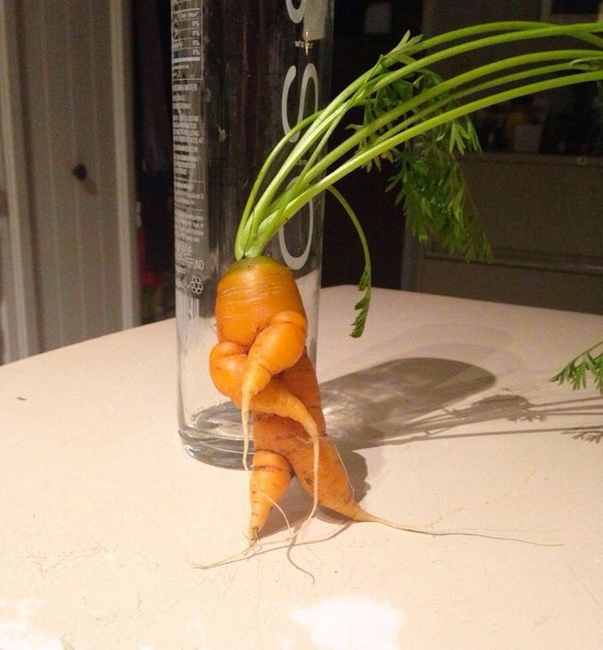 9. Морковка с характером