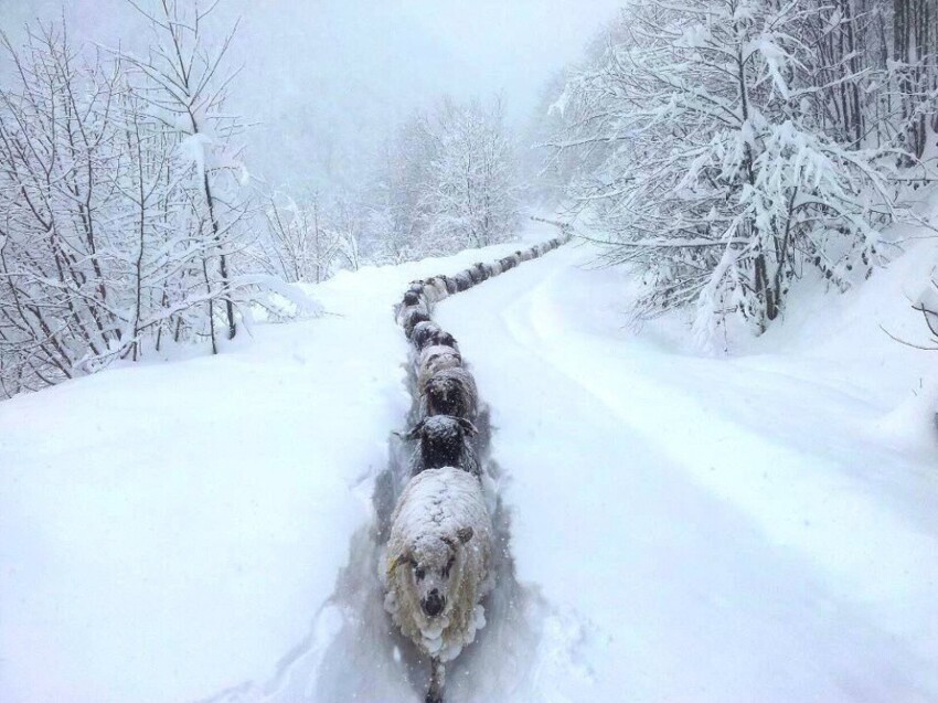 Самые впечатляющие фотографии