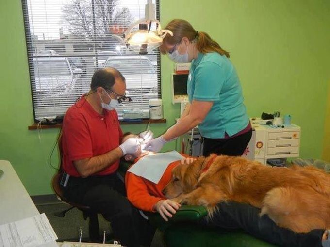 3. Этот стоматолог берёт свою собаку на работу, чтобы успокоить переживающих детей