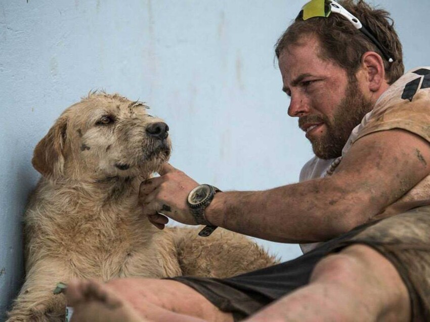 Трогательная история о том, как бездомная собака победила в гонке Adve
