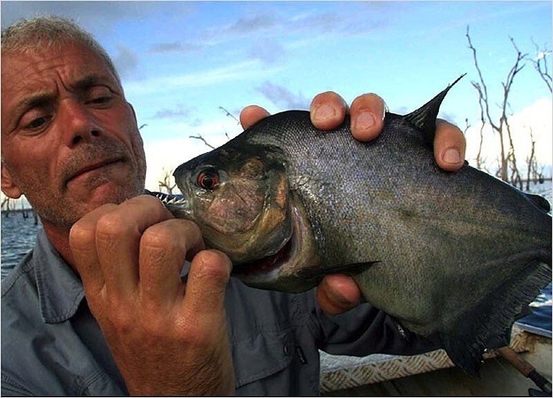 27 июня "Всемирный день рыболовства"