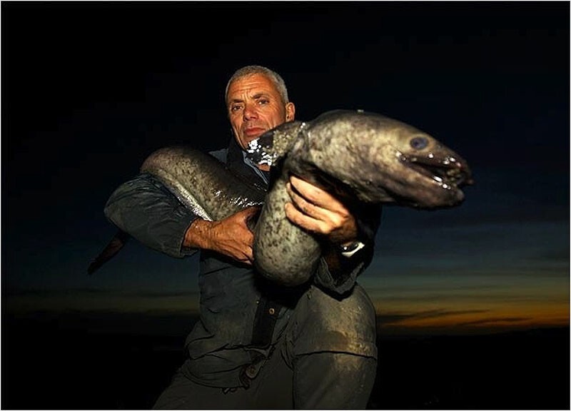 27 июня "Всемирный день рыболовства"