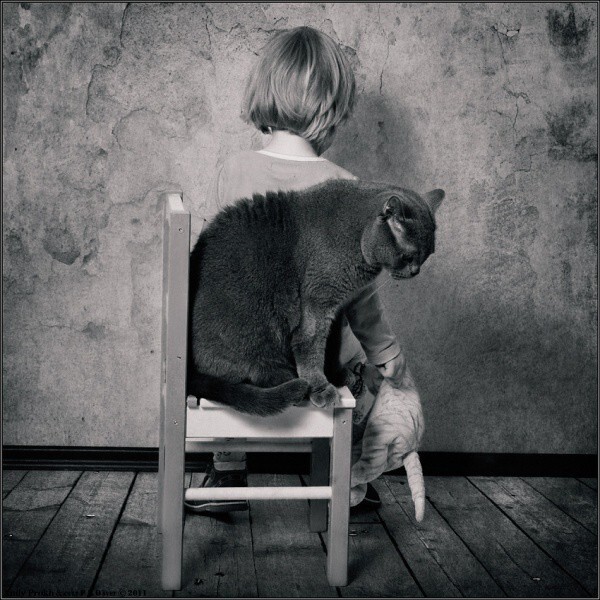 Девочка и кот. Фотопроект Андрея Прохорова